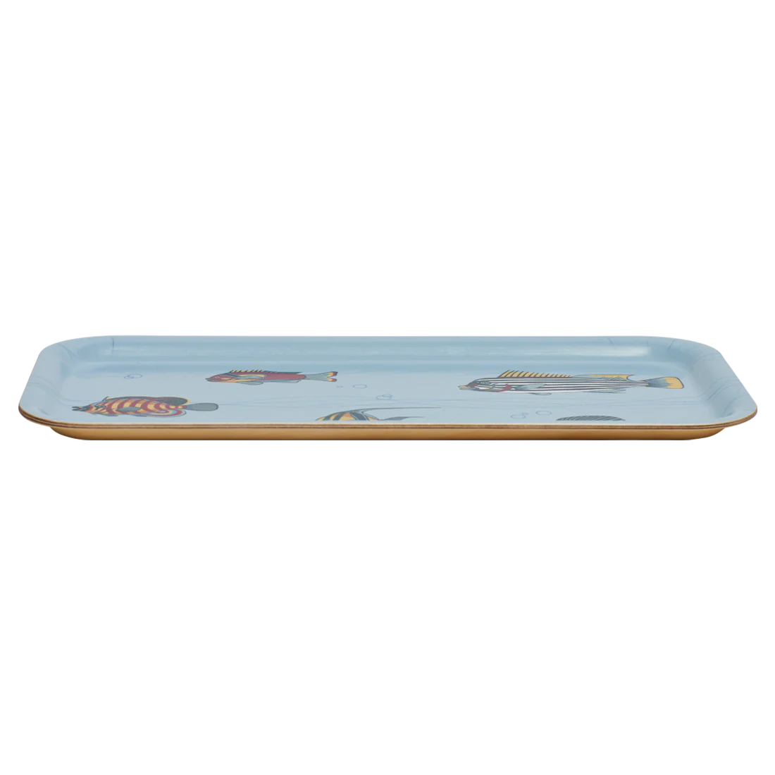 MUSEUM FISH TRAY  (10.6" X 5.1") - Image 3